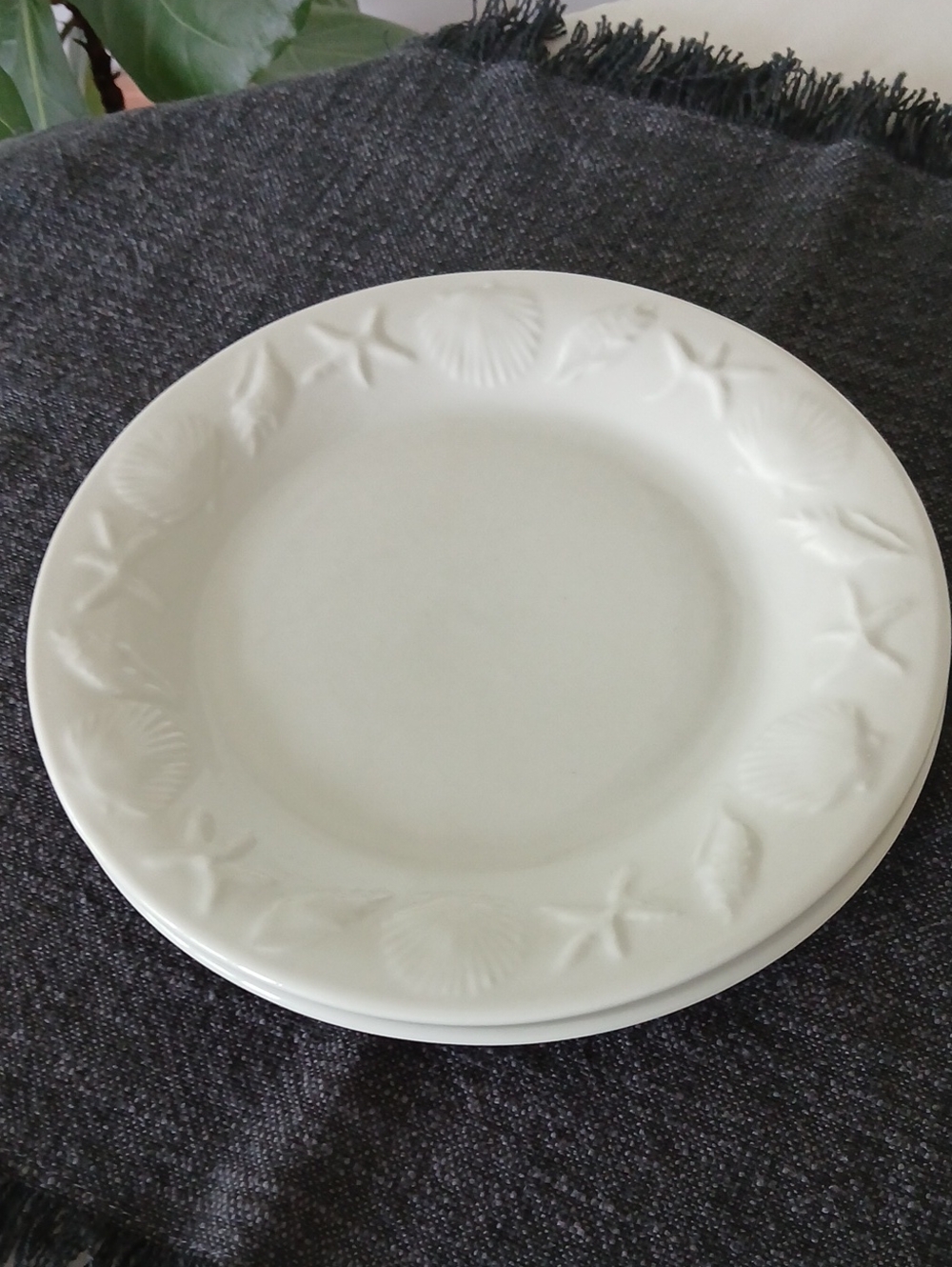 COQUILLE Seashells Starfish Coastal White Salad Plates Set of 2
